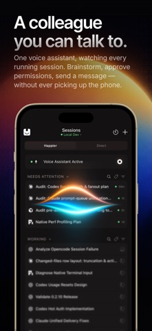 Happier - Remote Claude, Codex Screenshot 10 of 10