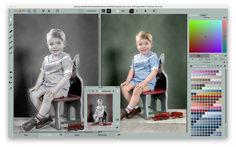 Screenshot #1 pour CODIJY Colorizer Pro