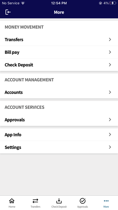 Ireland Bank Business Screenshot