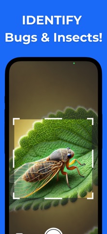 Bug & Insect Identifier Screenshot 1 of 5