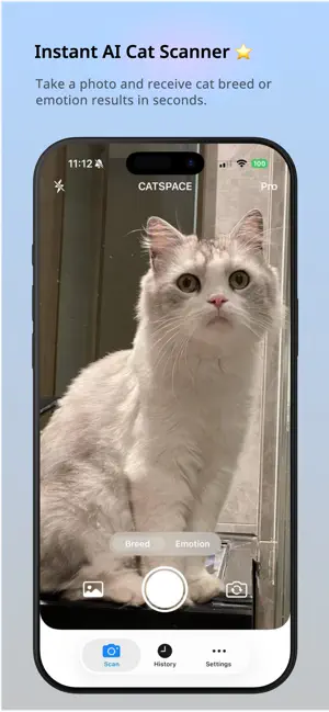Catspace – AI Cat Scanner screenshot 1