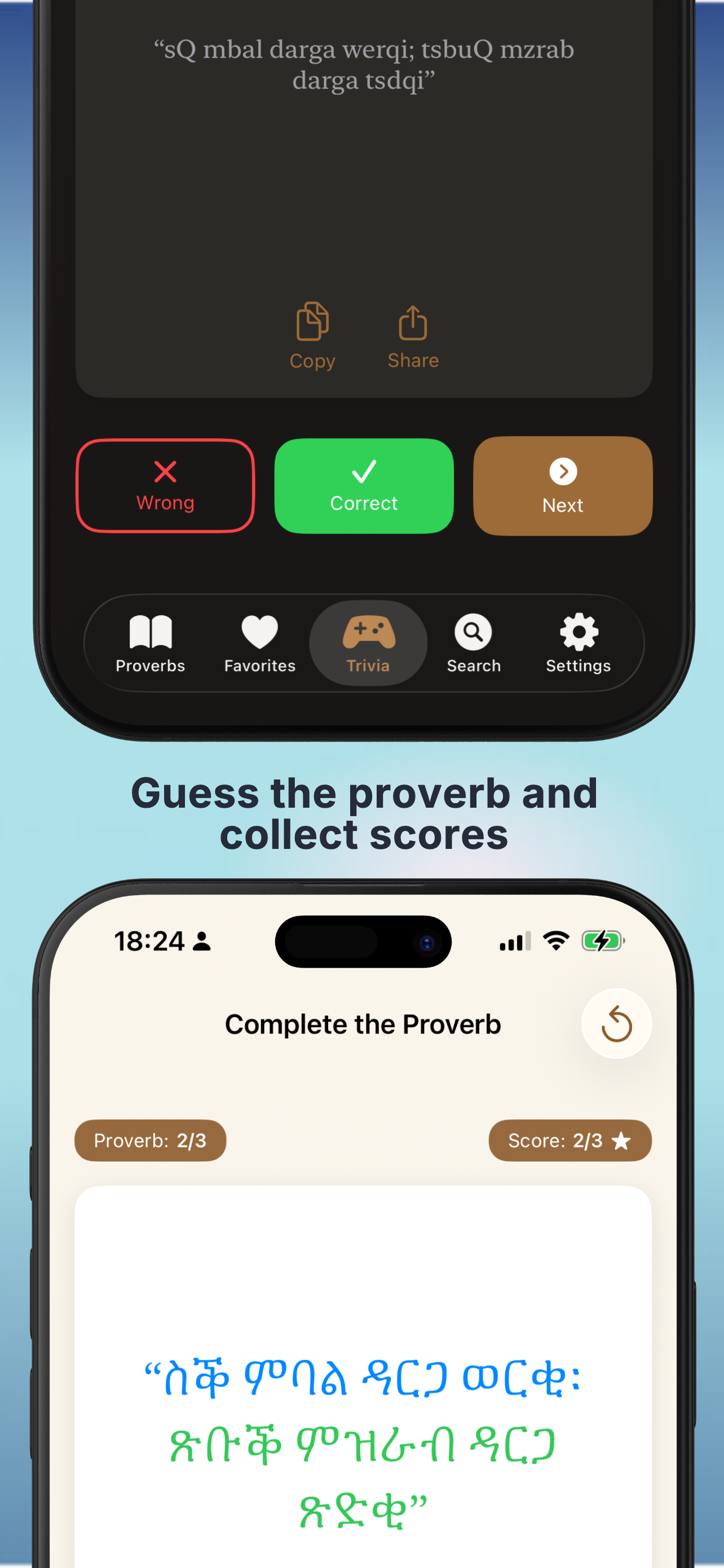 Tigrinya Proverbs screenshot 9