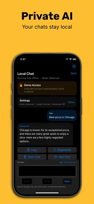 Honey LLM Offline AI screenshot 1
