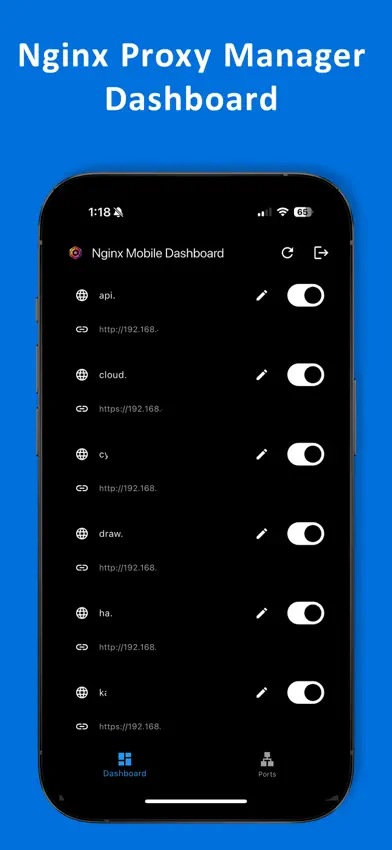 Nginx Mobile Dashboard screenshot 2