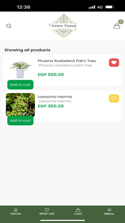 Green Tissue - النسيج الاخضر