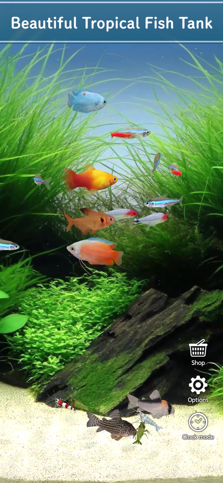 迷你水族箱：熱帶魚缸 screenshot 2