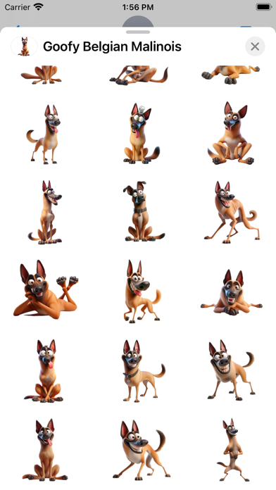 Screenshot 3 of Goofy Belgian Malinois App