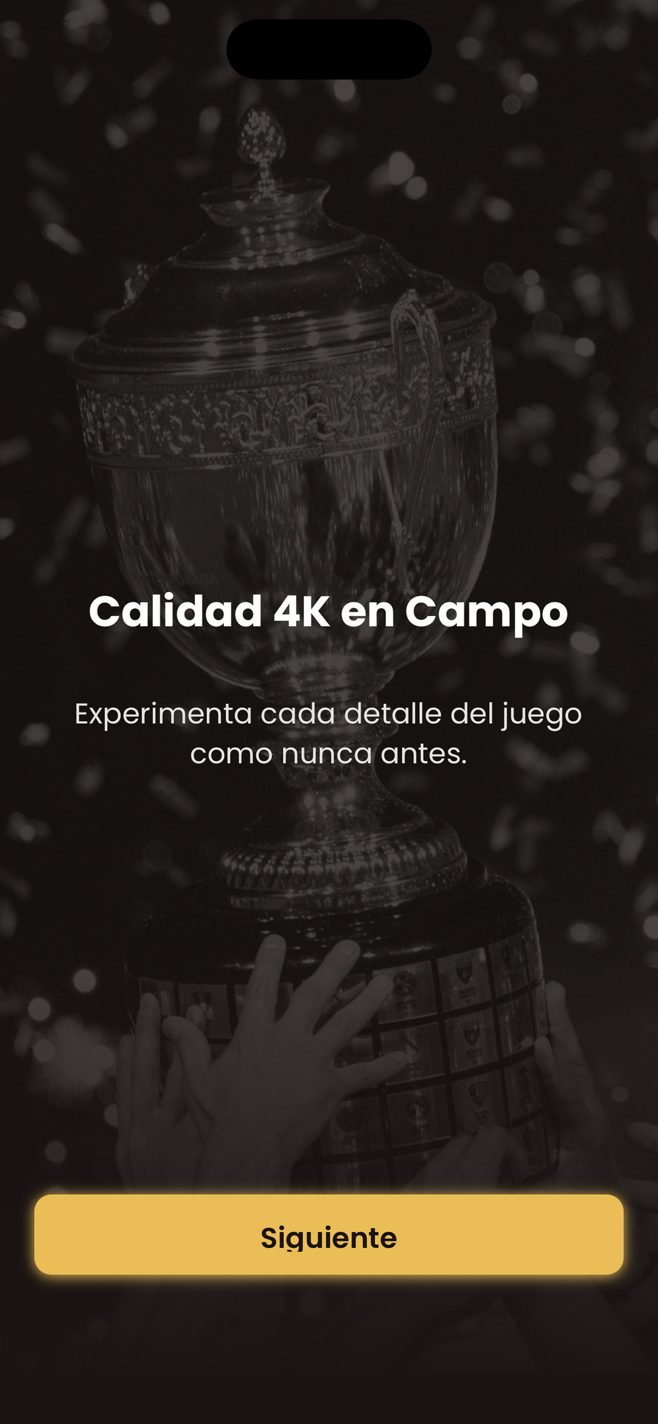 Liga FUTVE Streaming screenshot 8