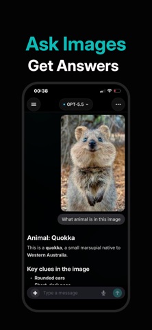 Dolla AI: Chatbot Al Assistant screenshot 3
