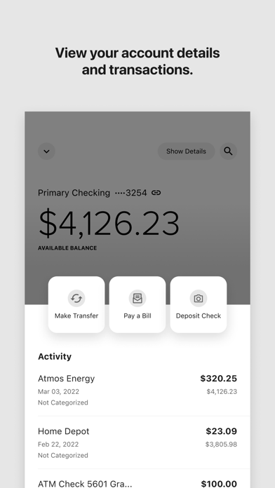 Verve Mobile iPhone screenshot 4 - Finance app