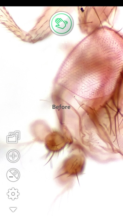 TASO Focus for microscopes screenshot-5