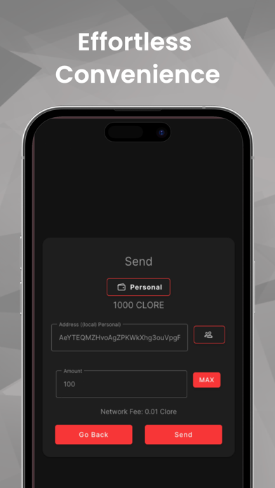 Screenshot #3 pour Clore Wallet