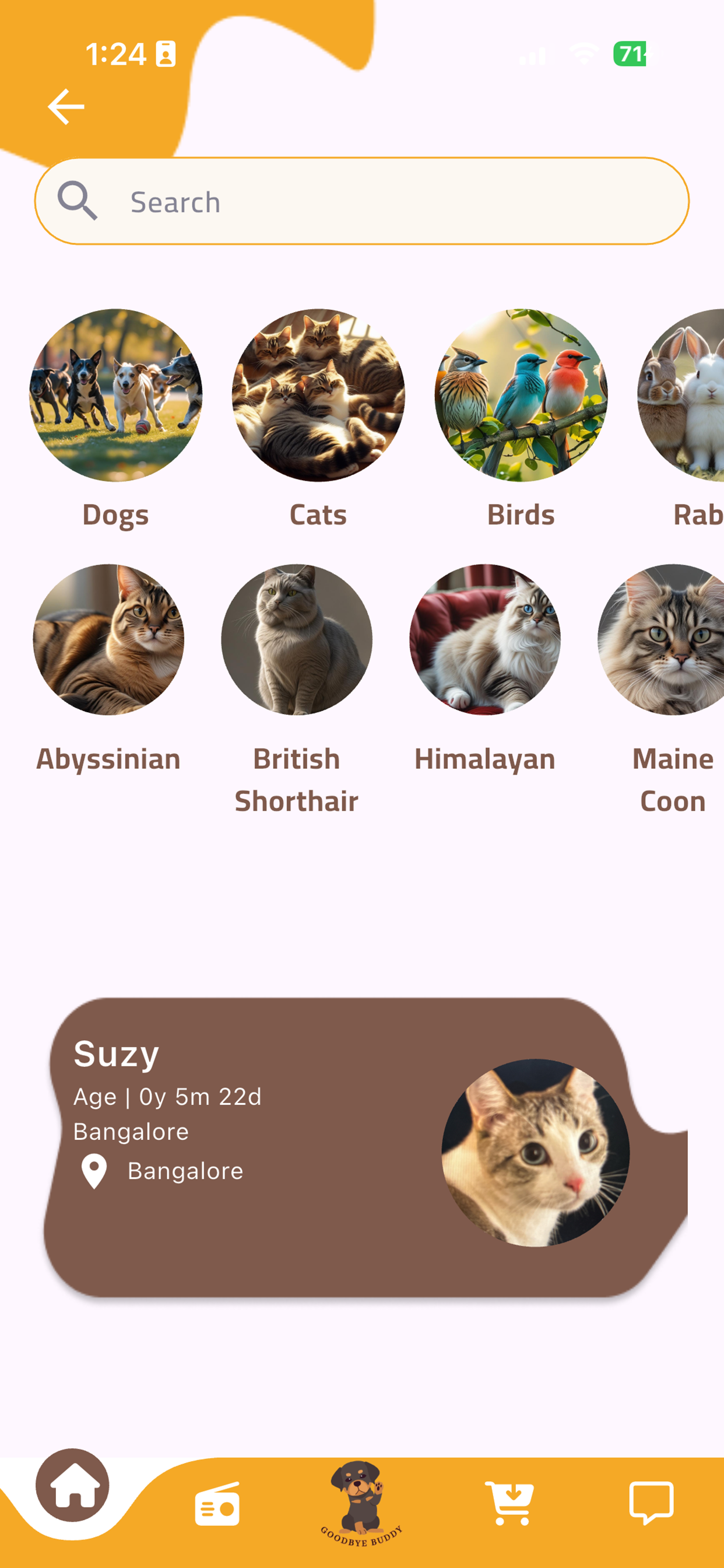 Pawdli screenshot 6