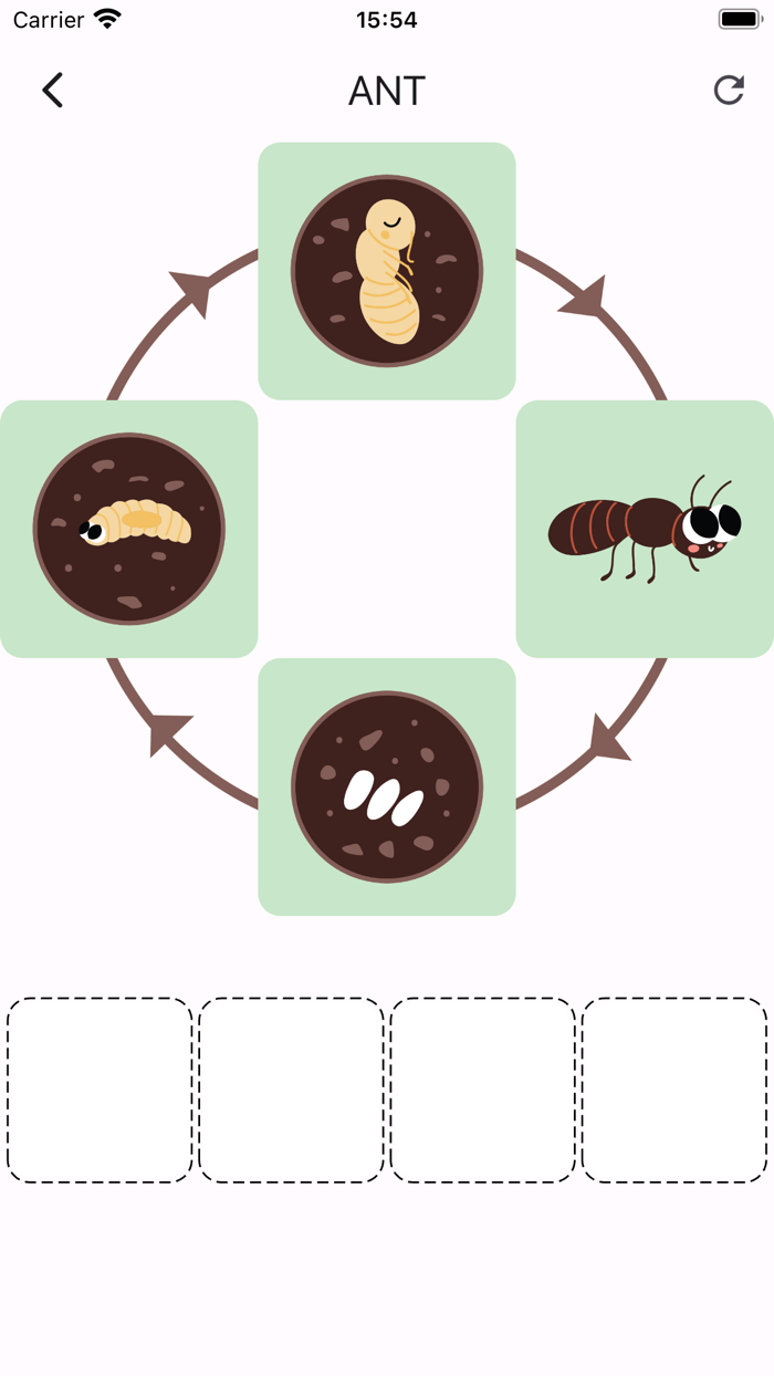 Learn life cycle for toddler