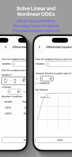 Numerical Solver screenshot 3