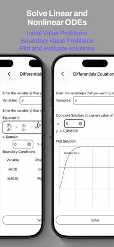 Numerical Solver Screenshot 3 of 9