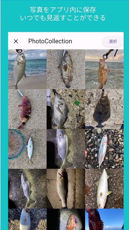 catchsnap screenshot-5