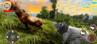 Lion Family Simulator Game screenshot