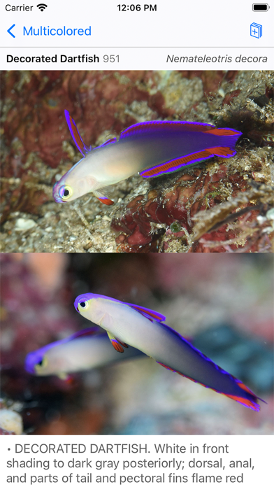 Philippines Fish ID Screenshot