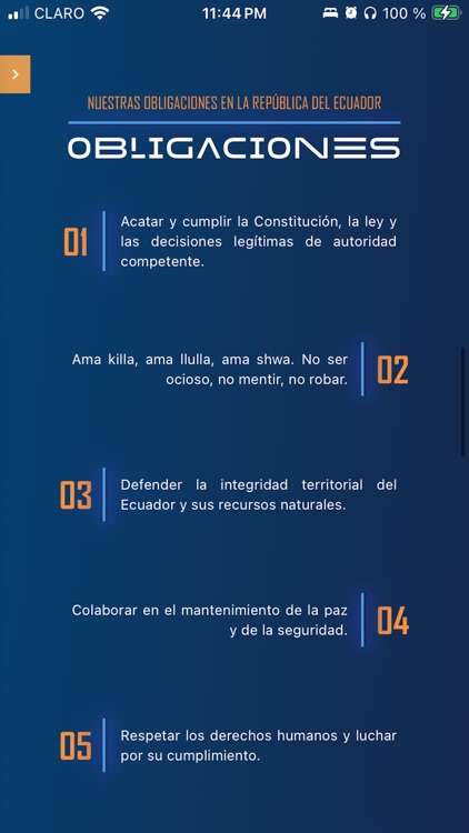 Voces del Futuro en Democracia screenshot-3