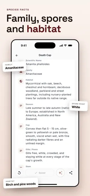 Scan: Mushroom Identifier screenshot 4