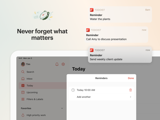 Todoist: to-do lijst & planner iPad app afbeelding 5