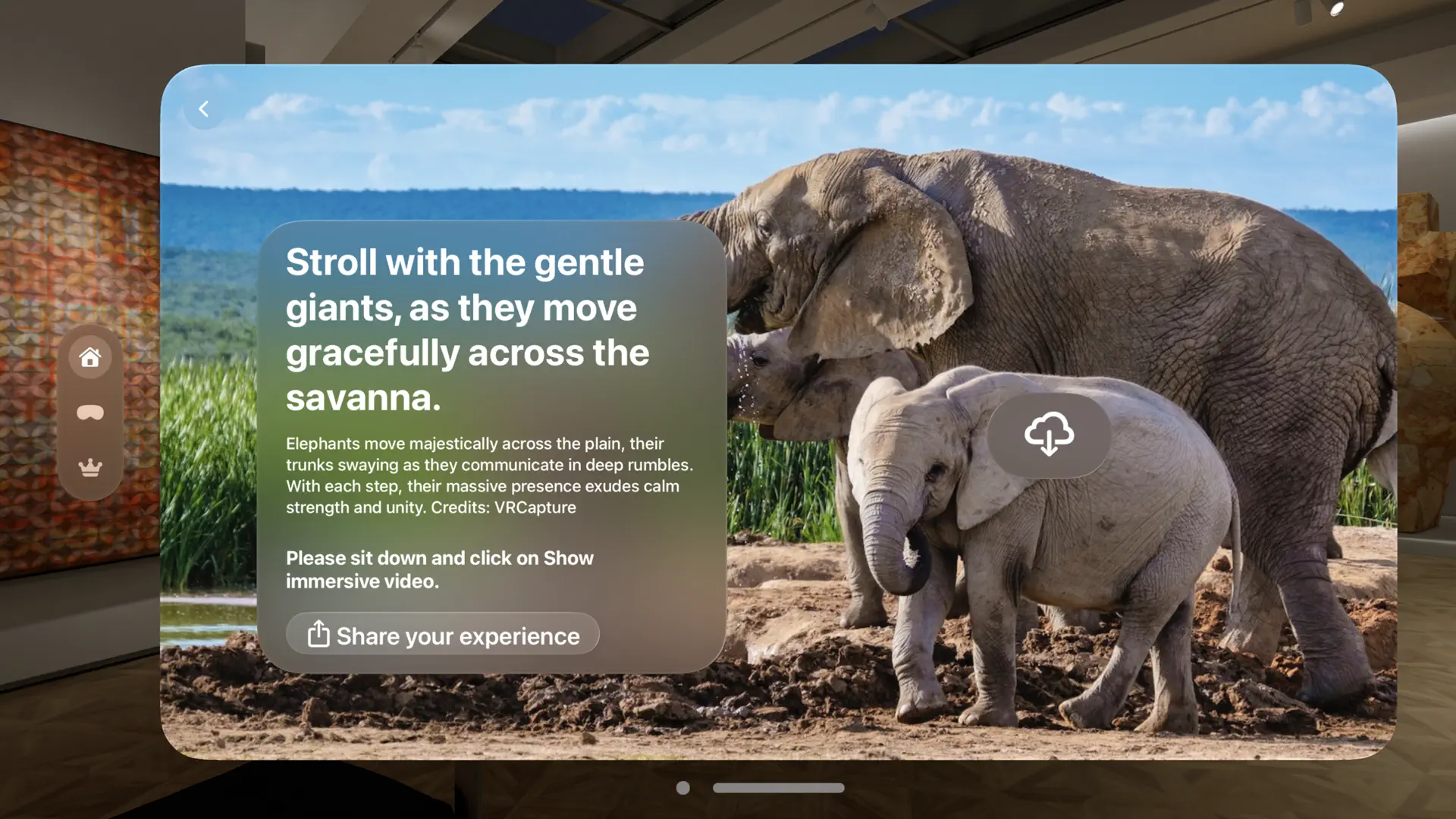 Immersive Video screenshot 2