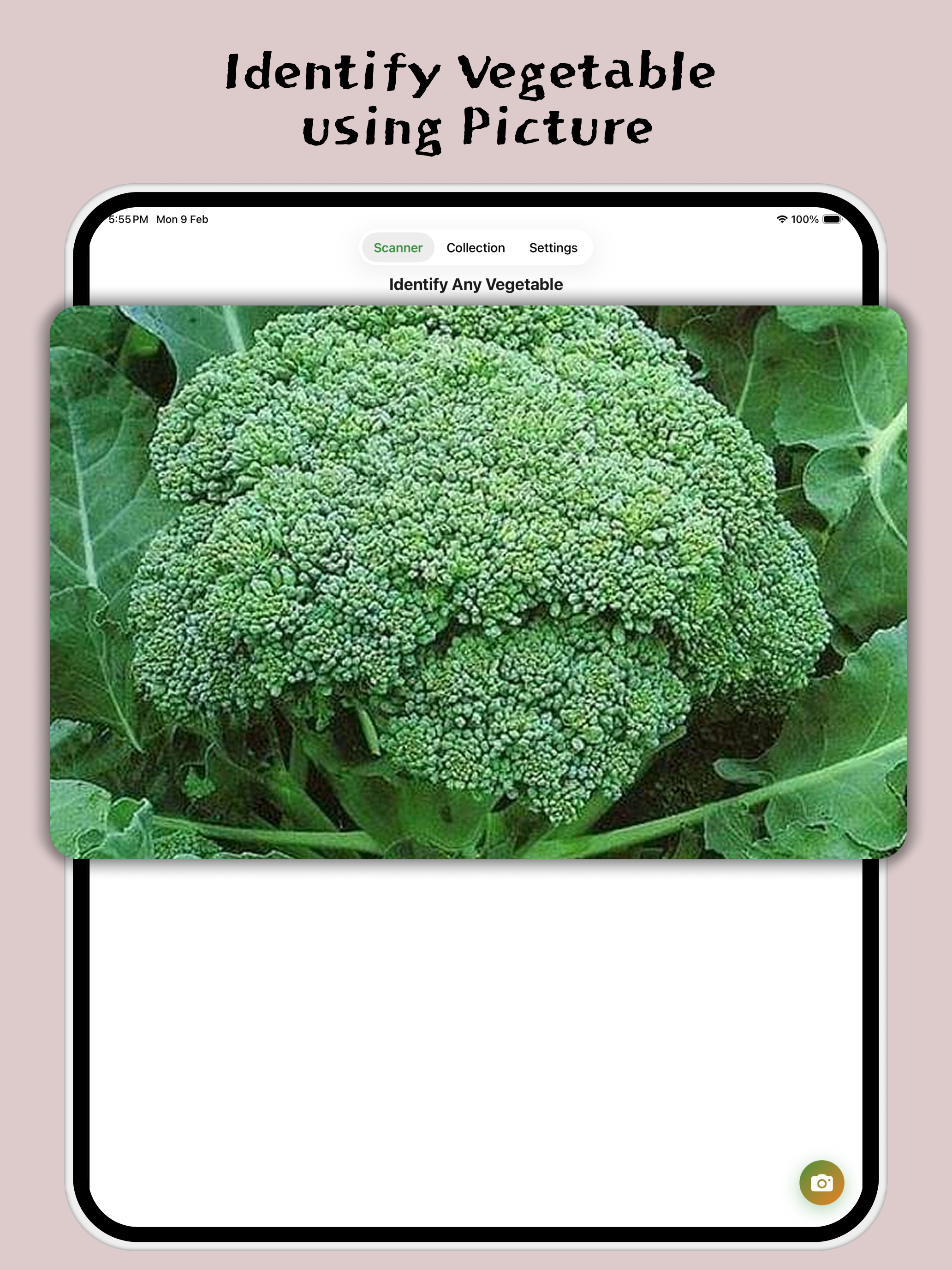 Vegetable Identifier: Veggie