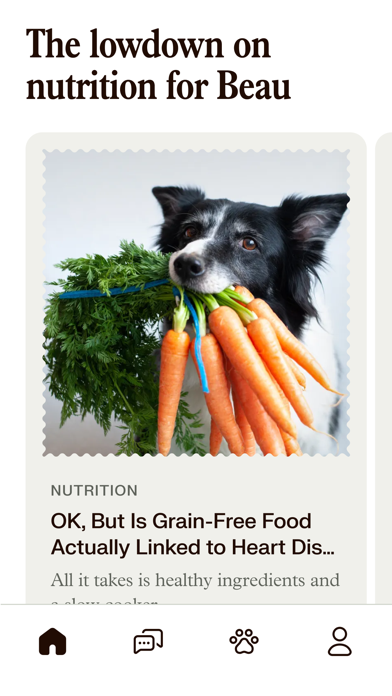 Kinship: For People with Pets Screenshot