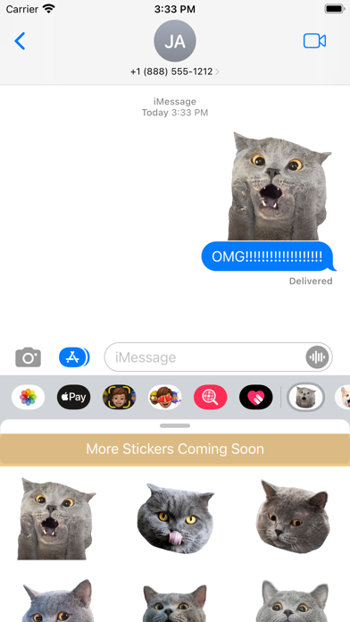 British Shorthair Cat's Head Screenshot