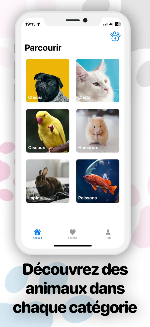 Screenshot #2 pour Mon Paw: Adoptez, Shop Animaux