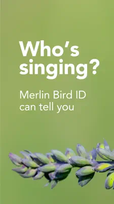 Merlin Bird ID by Cornell Lab 1