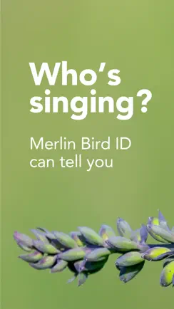 Merlin Bird ID by Cornell Lab iPhone image 1