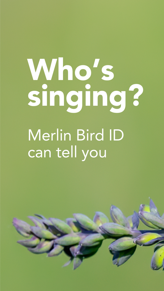 Merlin Bird ID by Cornell Lab - 3.1 - (iOS)