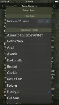 TelepaText - editor, speech iphone bilder 3