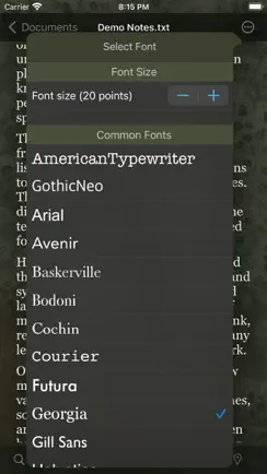 TelepaText - editor, speech iPhone image 4