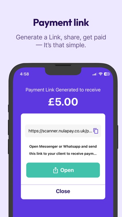 nulapay screenshot-3