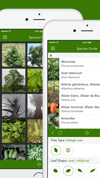 Screenshot #2 pour Arbres PRO - Guide terrain