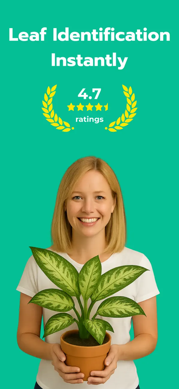 #1. Leaf Identification: Leafzy (iOS) De: Cristian Alan Canales Mota