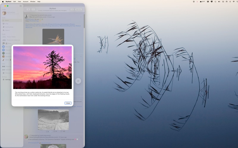 SkyNest Social for BlueSky screenshot