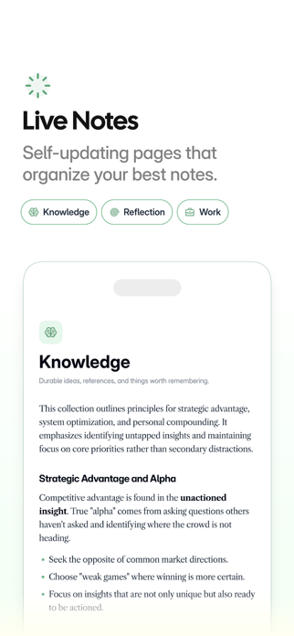 Lightnote: AI Brain Dump Screenshot 2 of 6