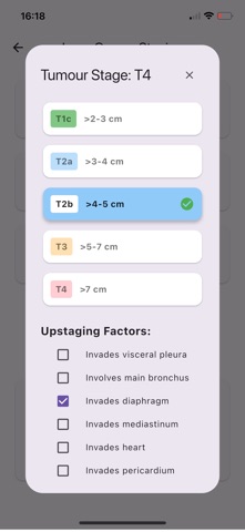Lung TNM screenshot