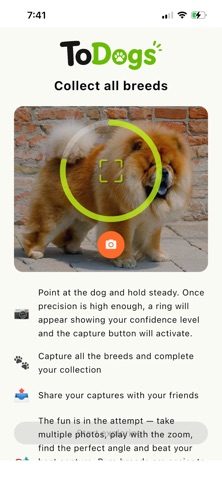 Todogs Screenshot 2 of 10