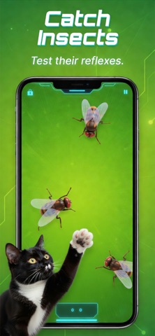 CatSwipe: Catch Mouse & Fish Screenshot 3 of 8