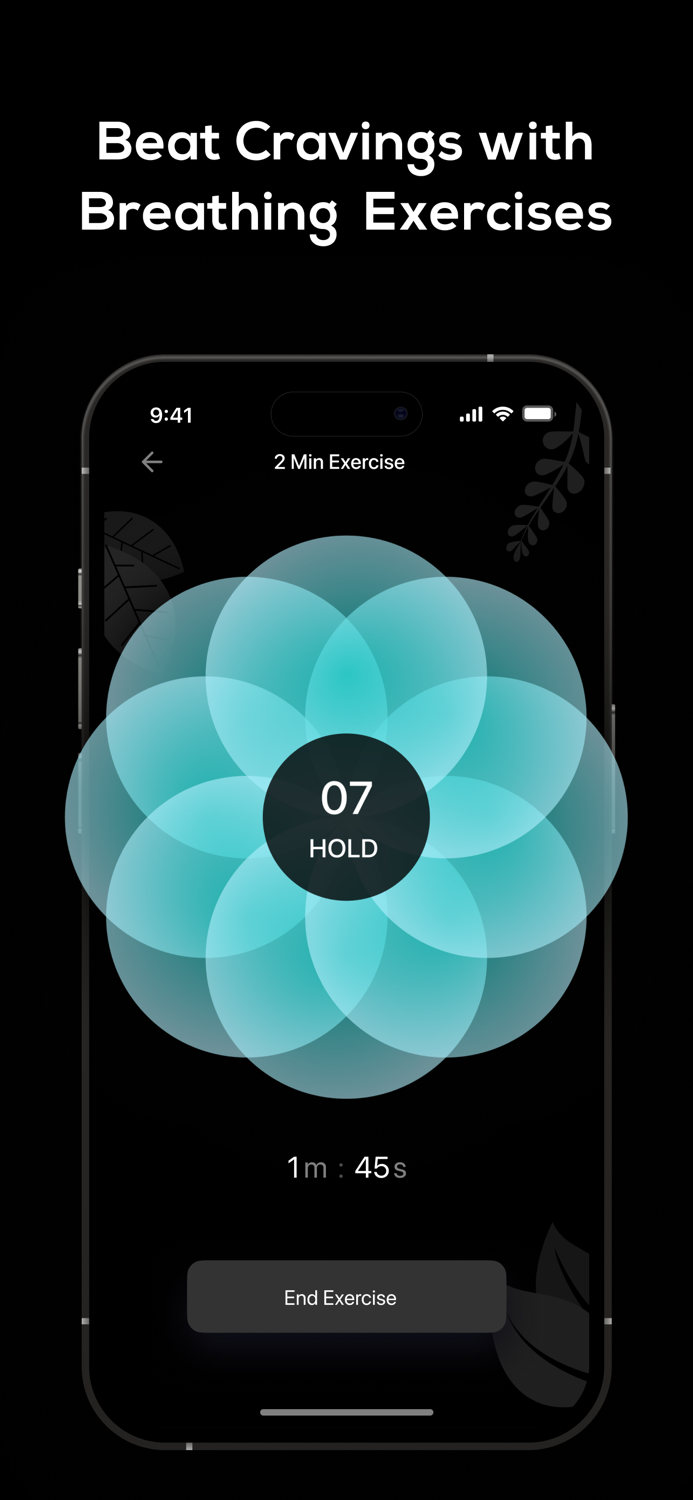 Quit Vaping and Smoking - NoPuff