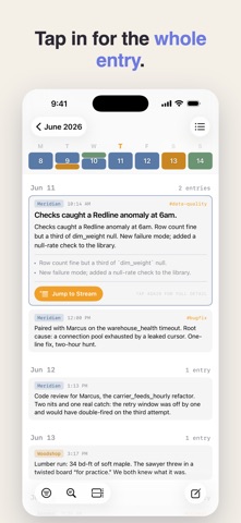 CogniLog: Work Log iPhone screenshot