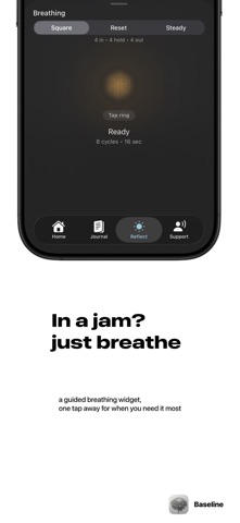 Baseline: Moods for Bipolar screenshot 6