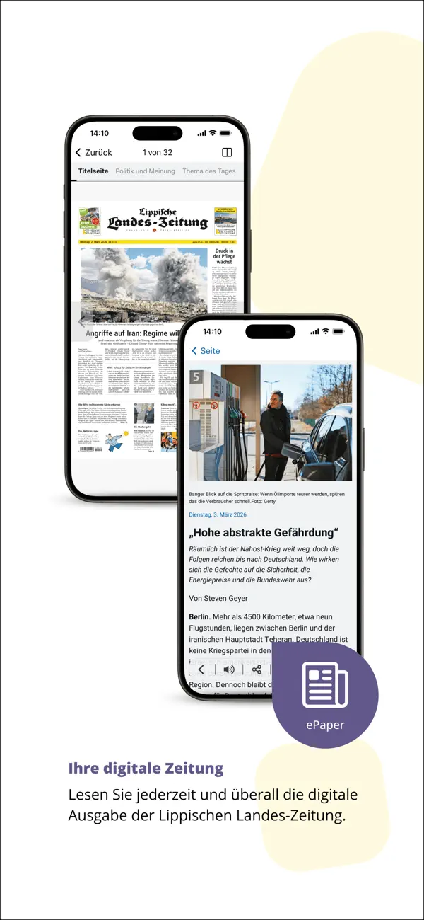 Screenshot #3 pour LZ-ePaper