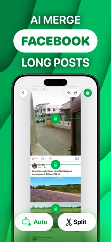 Photo Stitch! Screenshot 1 of 6