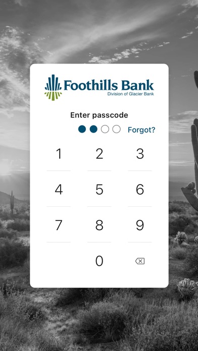 Foothills Bank Screenshot